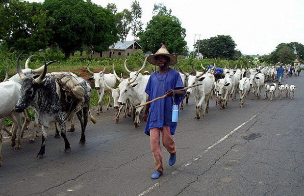 Miyetti Allah Takes Position On 2023 Presidency Zoning, Tells Buhari To Declare Bandits As Terrorists