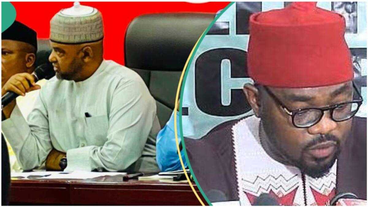 PDP Expelled Prominent Federal Lawmaker, Gives Reason