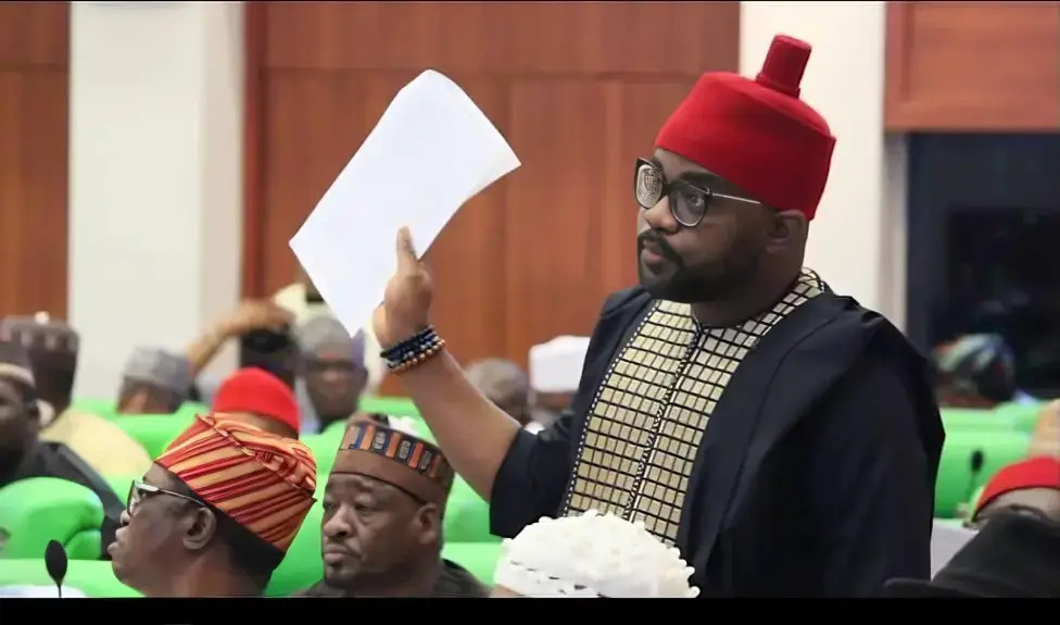 PDP LG Chairmen In Imo Pass Vote Confidence On Ugochinyere