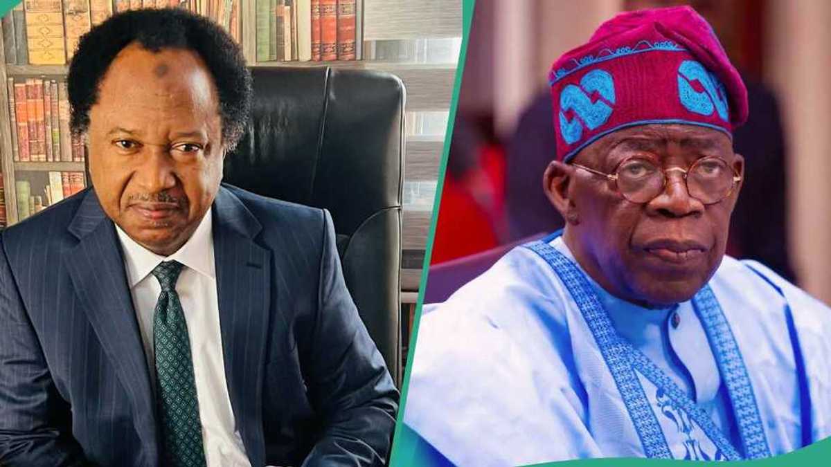 "President Wants You to Switch Off The Lights": Shehu Sani on Tinubu's Remarks