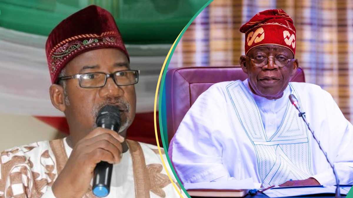 "They are Calling for Anarchy”: Bauchi Governor Threatens Tinubu Over Tax Reform Bills