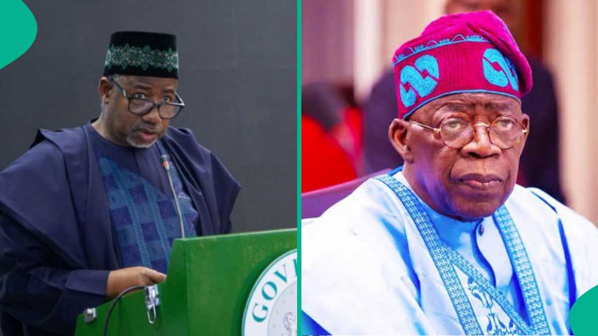 "Tinubu Na Neman Tayar da Fitina," Gwamna a Arewa Ya Dura Kan Shugaban Ƙasa