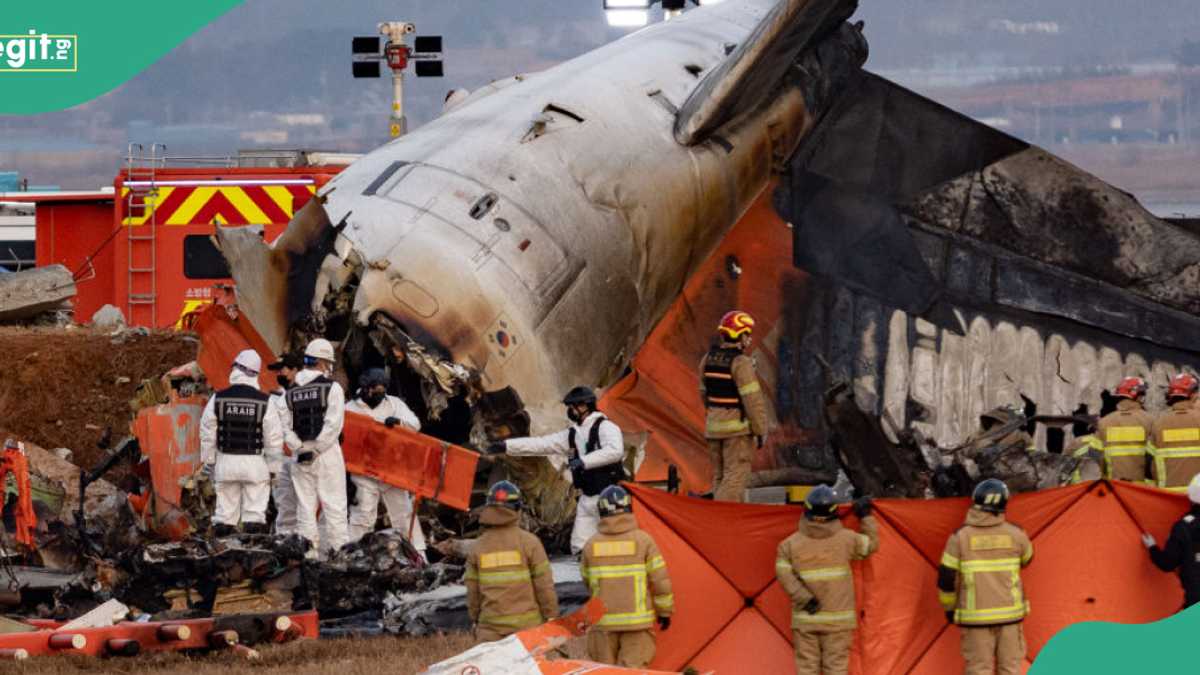 Tinubu's Government Sends Major Message to South Korea as 179 Die in Plane Crash