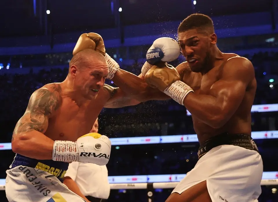 Usyk Names Joshua Among Top Five Boxers