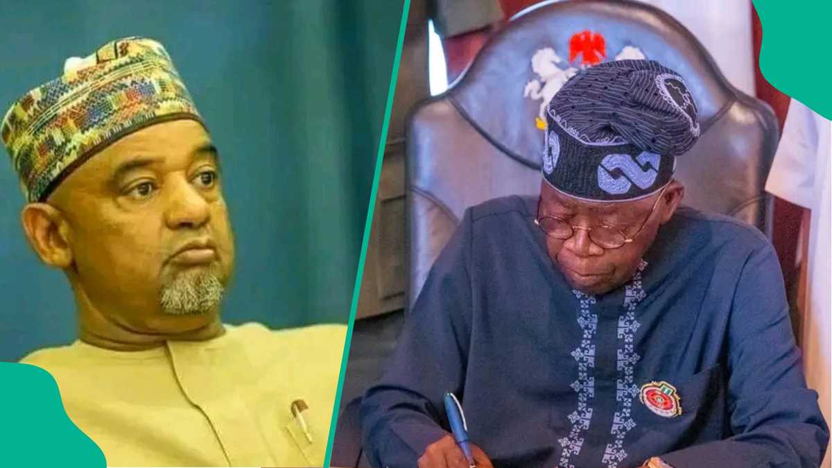 Yunwa: PDP Ta Alakanta Turmutsitsin da Ya Hallaka Jama'a da Manufofin Tinubu