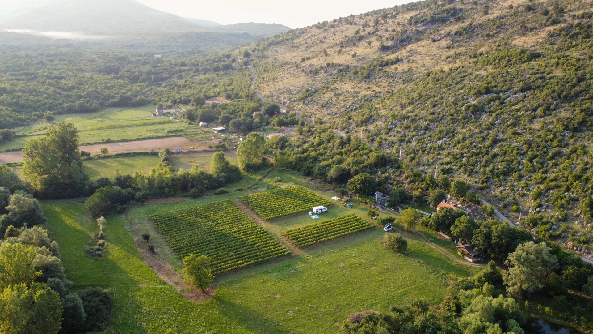 Beautiful campsite in the middle of a vineyard is near in one of Europe’s most underrated cities