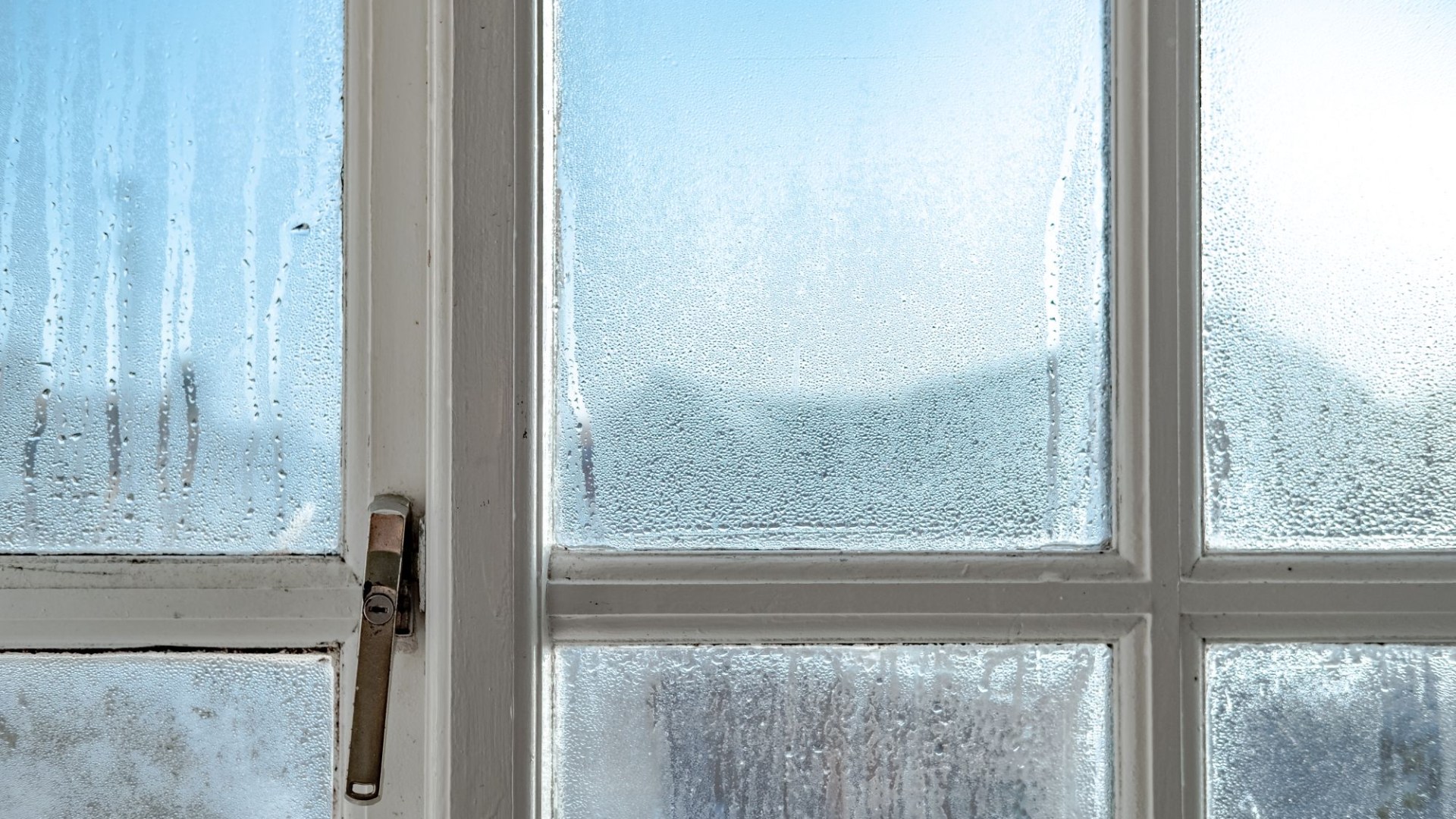 I'm a home specialist -my daily window ritual sucks moisture from air & stop condensation from forming on any surface