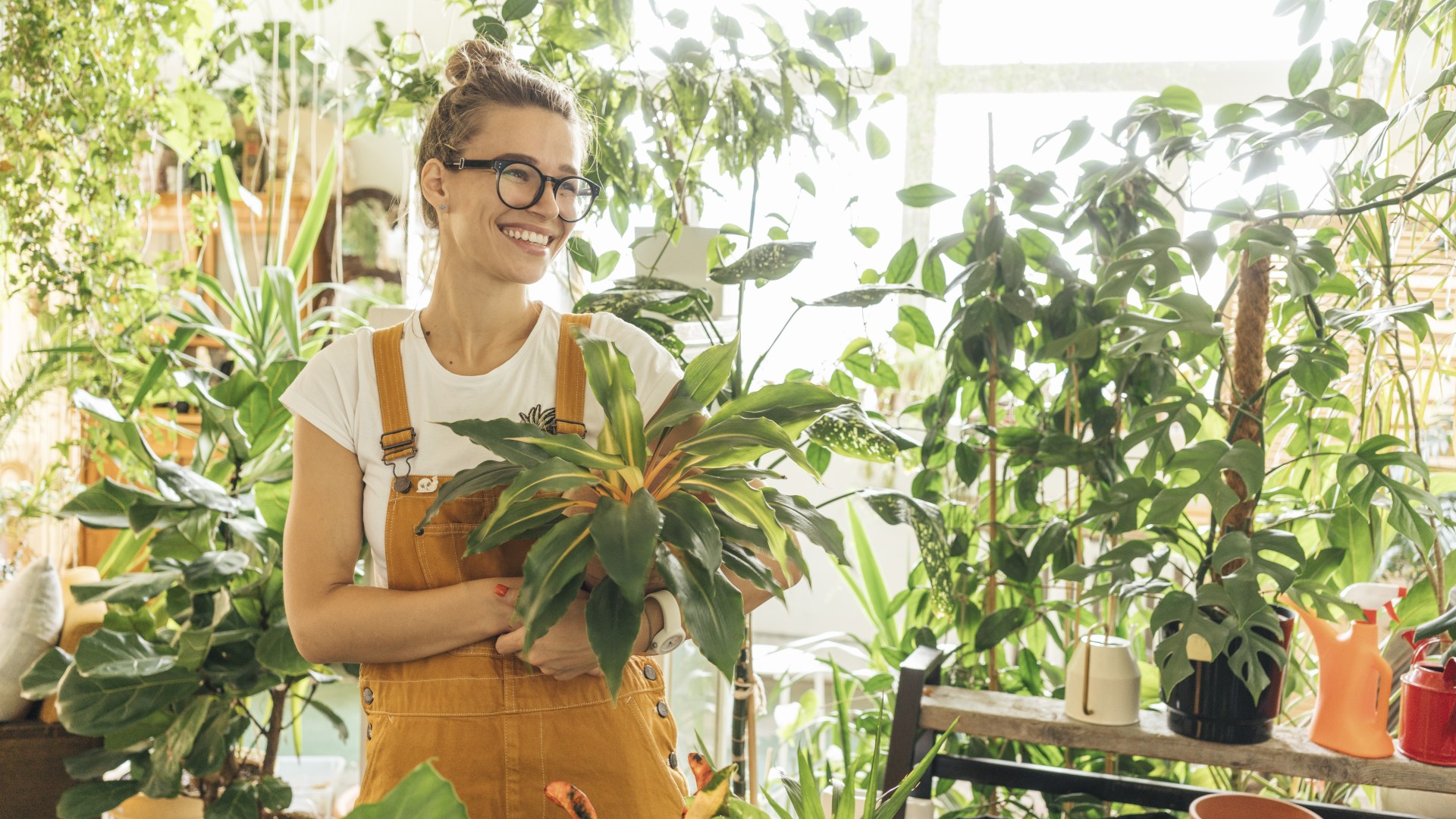 Four houseplant tips to brighten your home and your mood