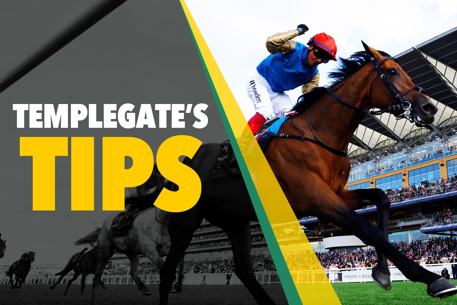 Horse racing tips: 'He's won without breaking sweat' - Templegate's NAP can do the business for Paul Nicholls