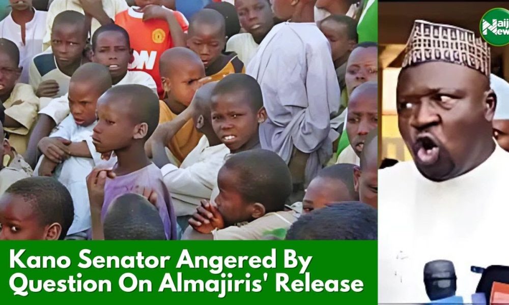 Kano Senator Angered By Question On Trafficked Almajiris’ Release