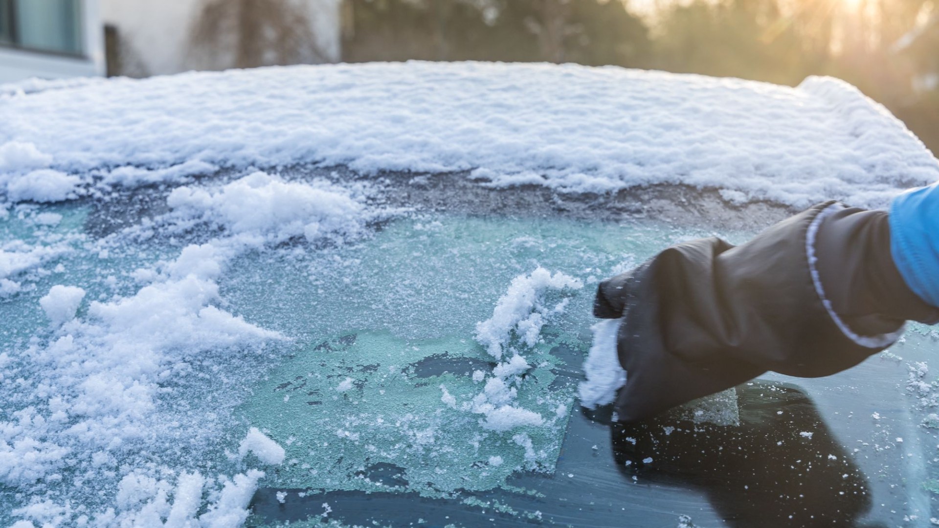 Expert reveals how 30p fruit from your kitchen can rid car windscreens of ice in seconds