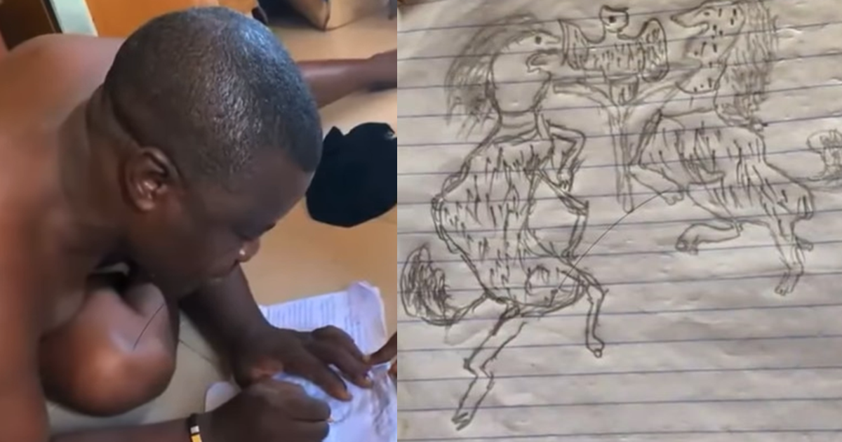 "He actually intended to draw it well o" – Lady Reveals Humorous Nigerian Coat of Arms Drawn by Her Father (WATCH)