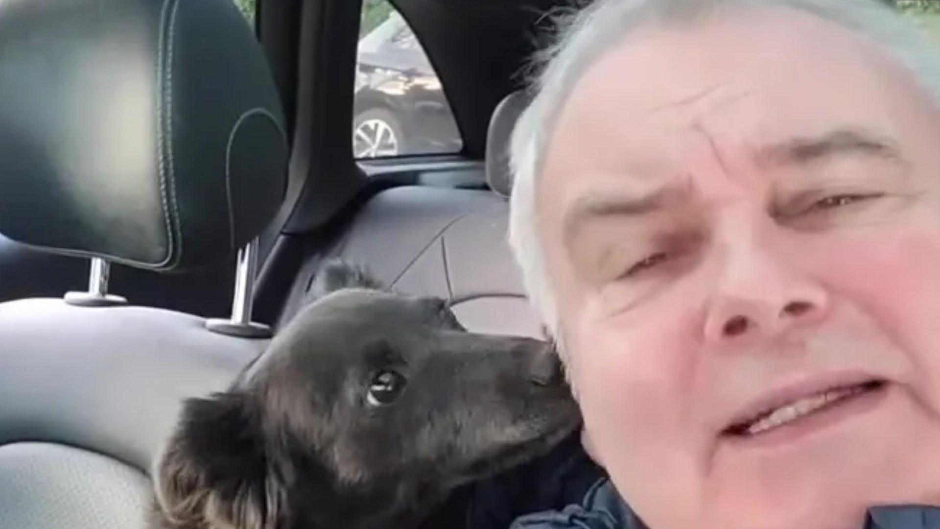 Eamonn Holmes reunites with beloved dog after bitter custody battle with ex Ruth Langsford