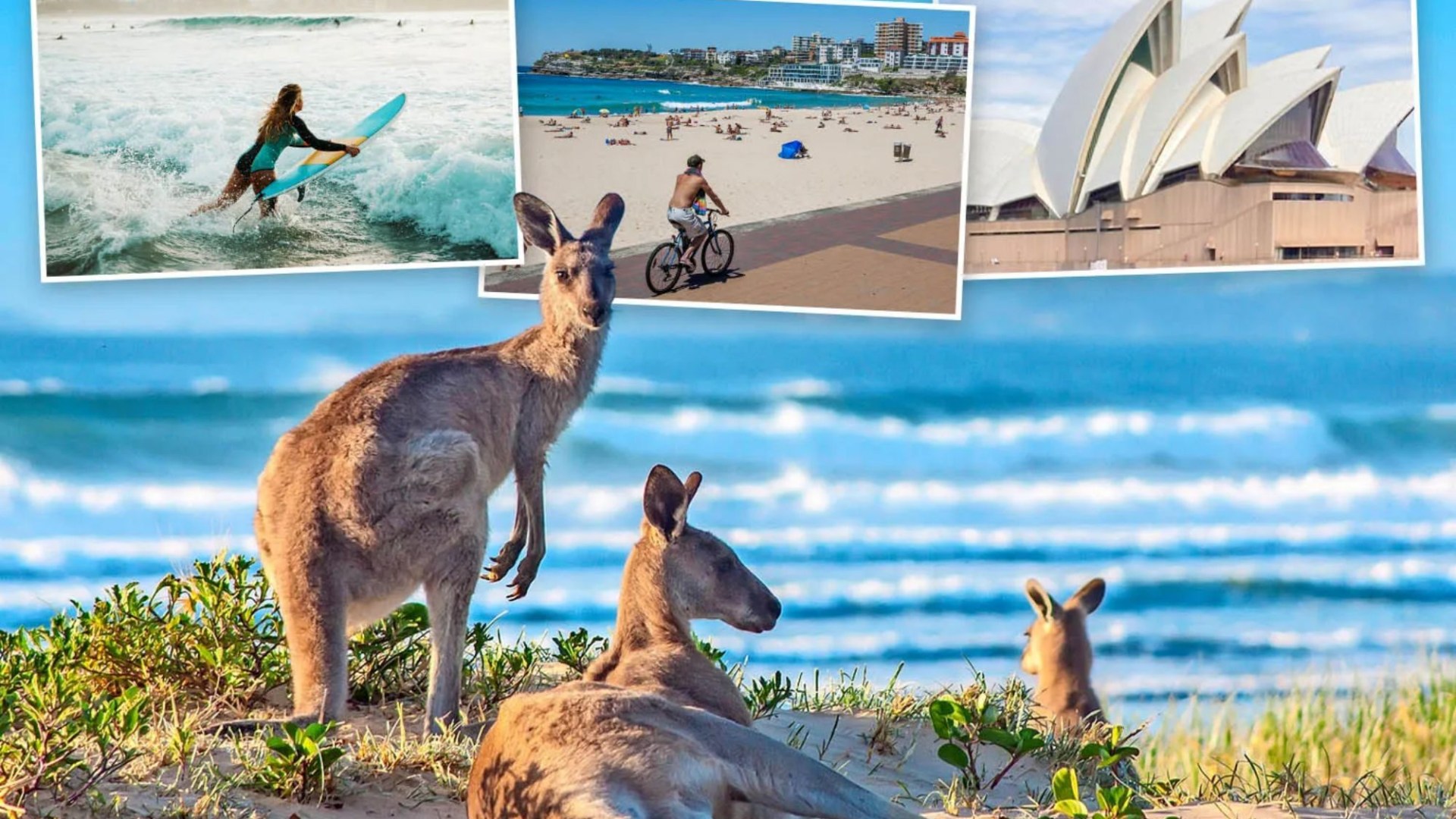 I visited the off-the-beaten-track nature resort with undisturbed beaches and sunbathing kangaroos