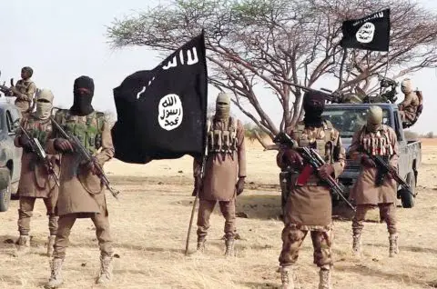 Boko Haram overruns military base in Borno, kills dozens