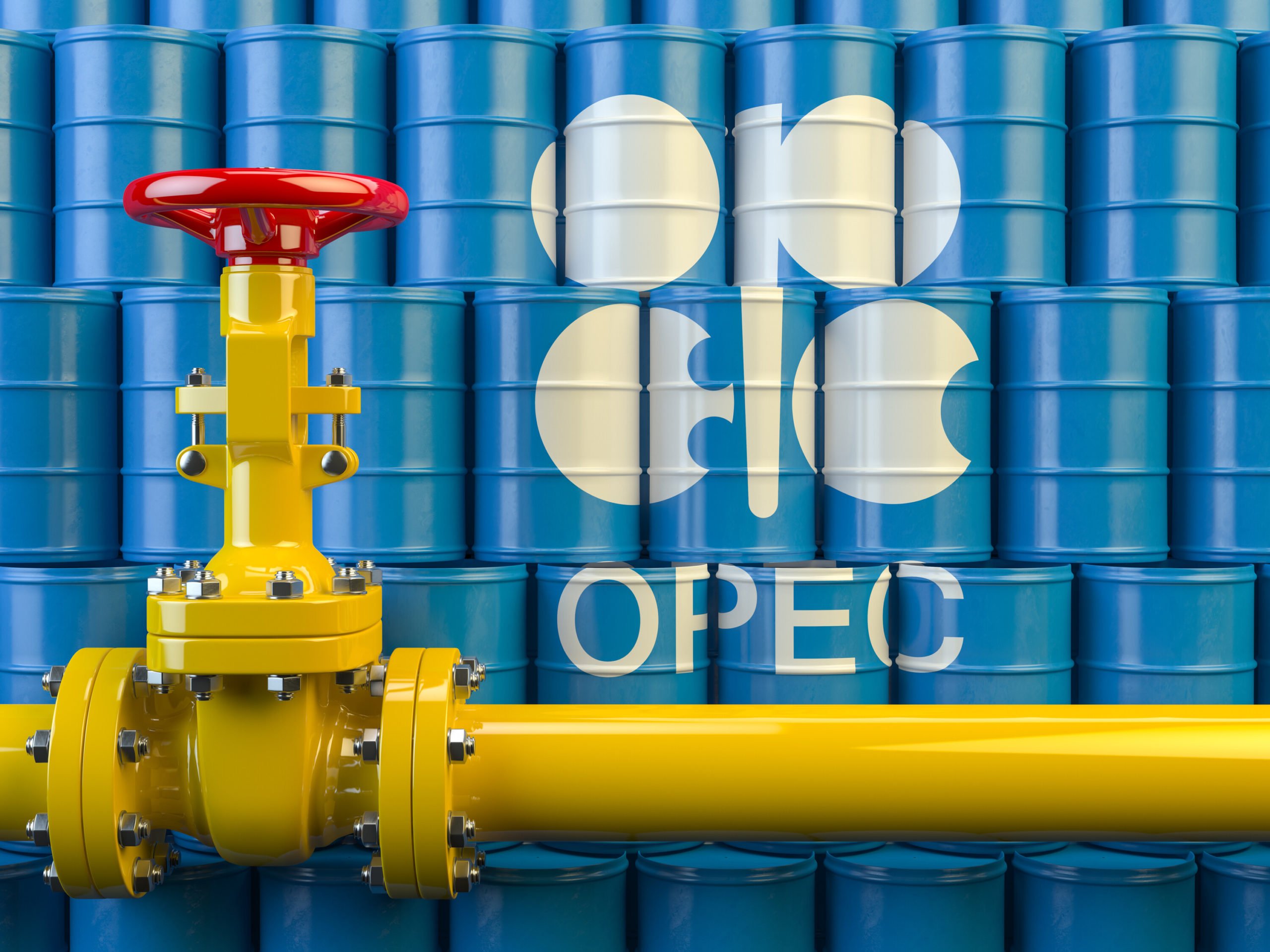 Dangote Refinery fuel production impacting European markets – OPEC