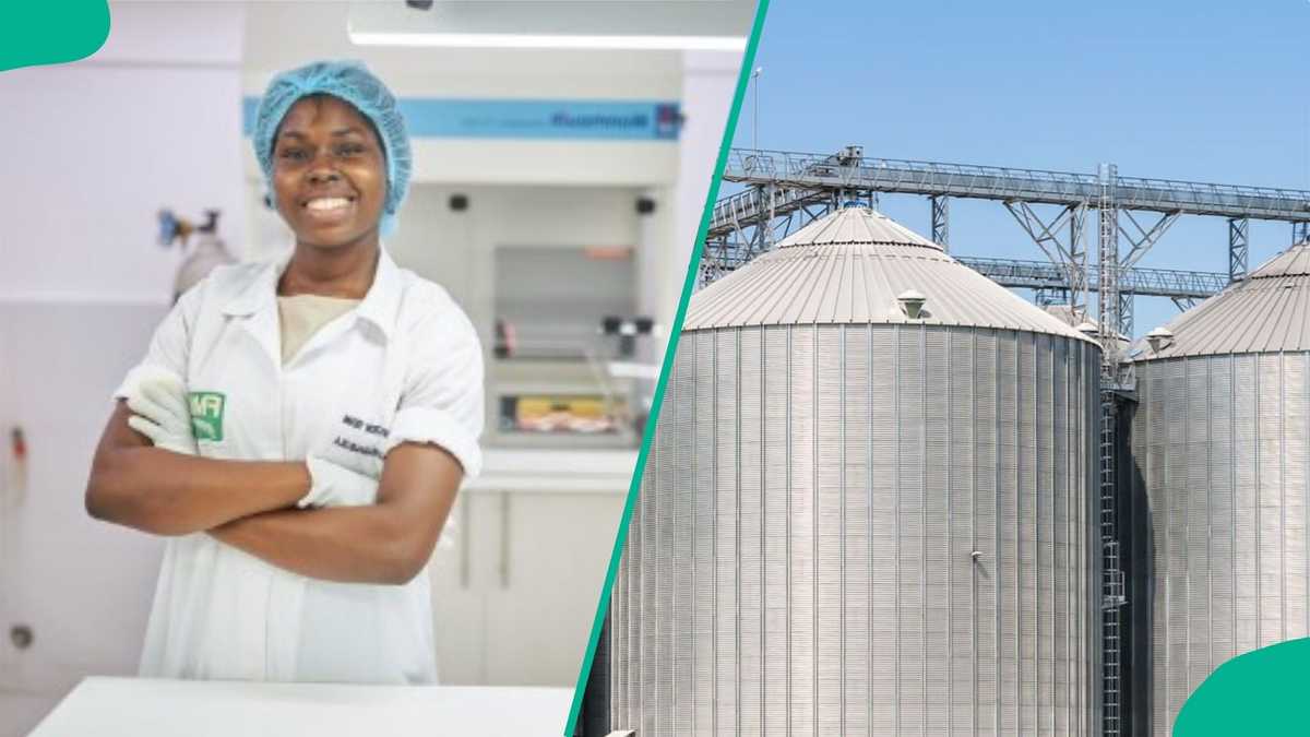 Excelsior Shipping Takes Over as NGX Delists Flour Mills of Nigeria