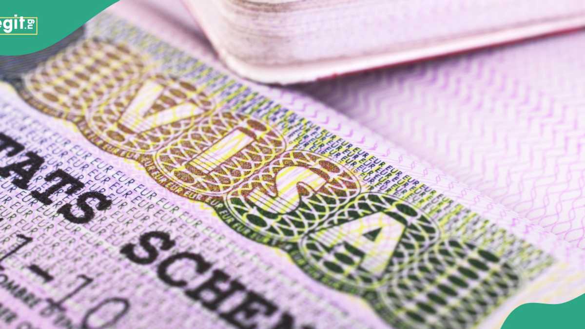 FULL LIST: Top 10 African Countries Facing the Highest Schengen Visa Rejection Rates