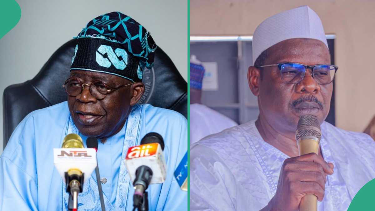 "N1,500 Daily Allowance": Ndume Knocks Tinubu-Led FG, Video Trends