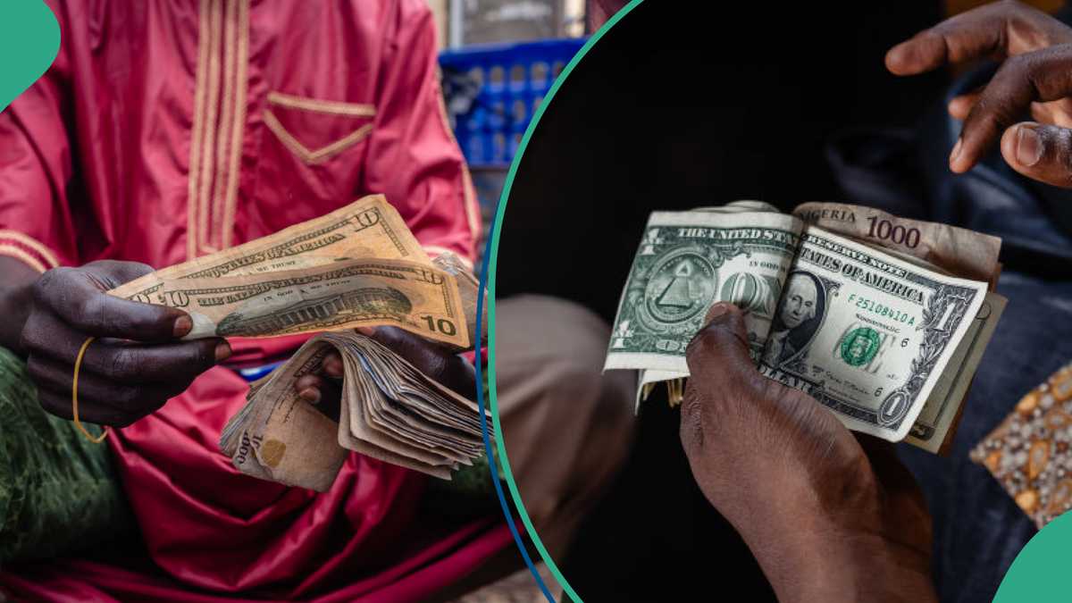 Naira Begins 2025 on Positive Note After Worst-Performing Currency Ranking in 2024