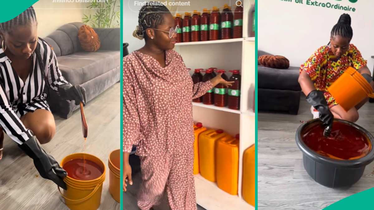 Nigerian Lady who Started Palm Oil Business Makes N5m Profit in her Bank Account, Shares Experience