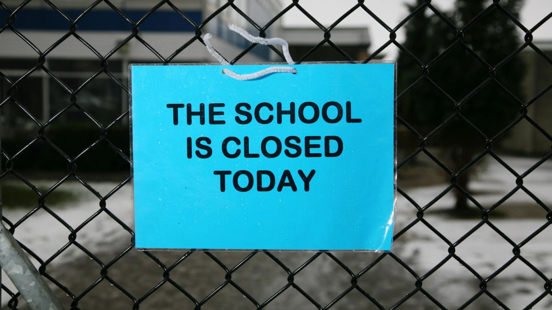 Schools CLOSED for thousands of pupils across Scotland today