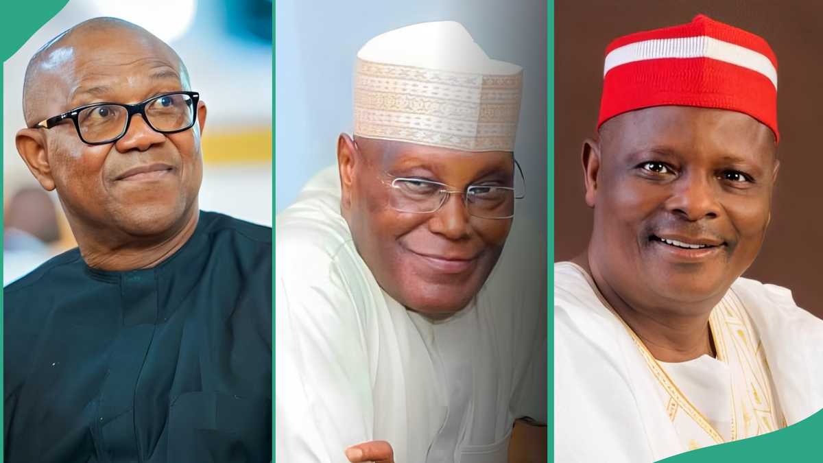 “This Hurts”: Kwankwaso Breaks Silence on Agreement with Atiku, Peter Obi to Serve 4 Years in 2027