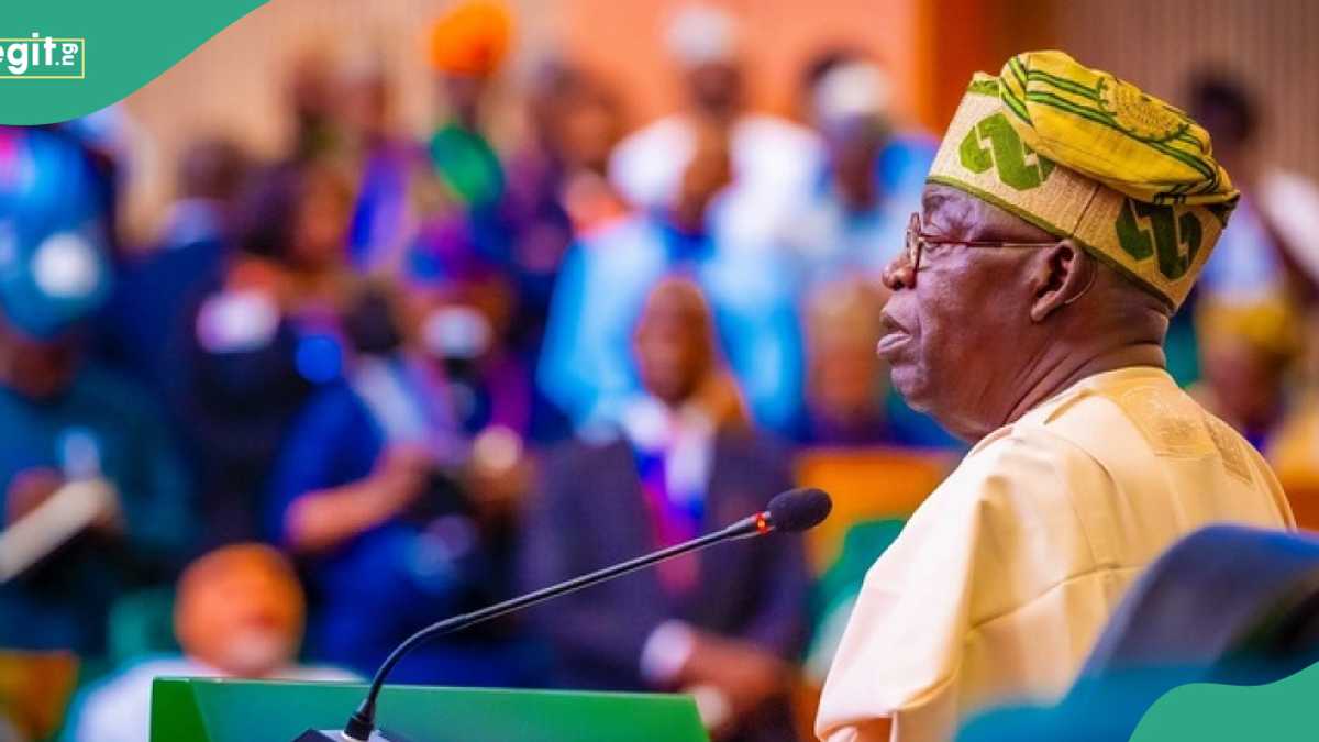 Tinubu zai Kafa Kamfani domin Rage Tsadar Abinci a 2025