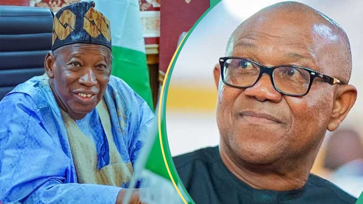 "We Cant Fold Our Arms": APC Backs National Secretary, Blasts Peter Obi Over Alleged Threat to Life