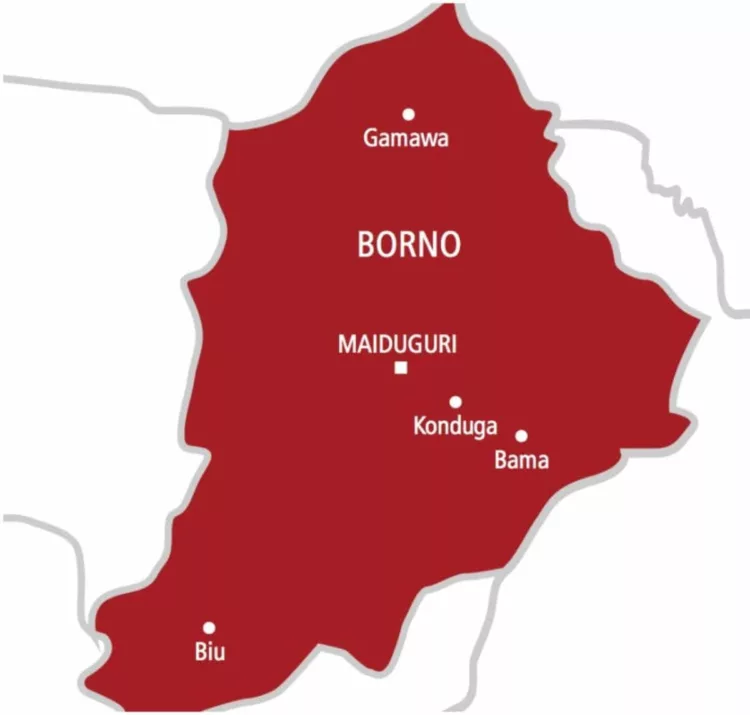 'Yan Ta'adda Sun Kashe Manoma 40 A Borno