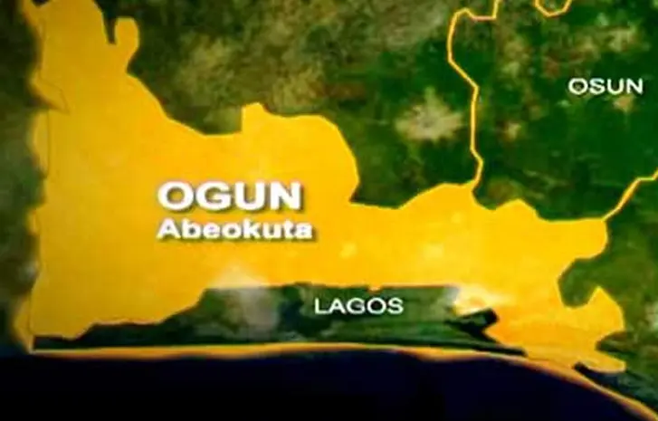 Palm tree falls, kills 40-year-old farmer in Ogun